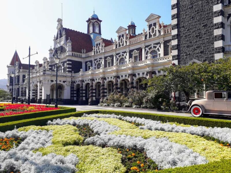 From Dunedin: City, Otago Peninsula & Albatross Guided Tour - Who This Tour Is Best For