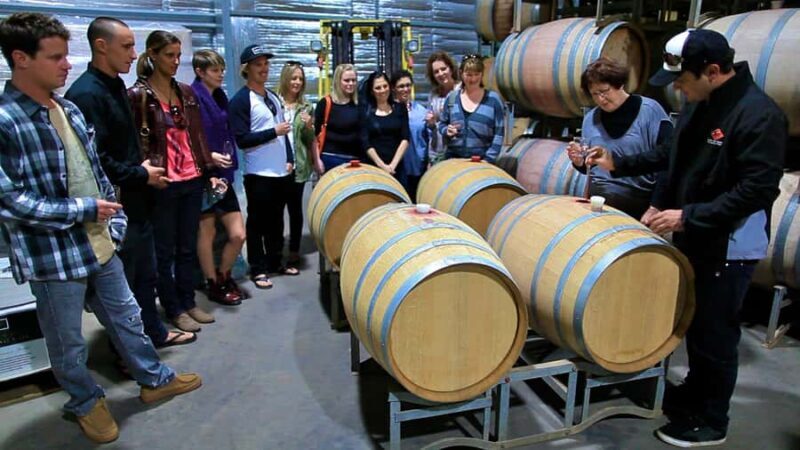 From Dunsborough/Busselton: Margaret River Wine Adventure - Who Is This Tour Best For?