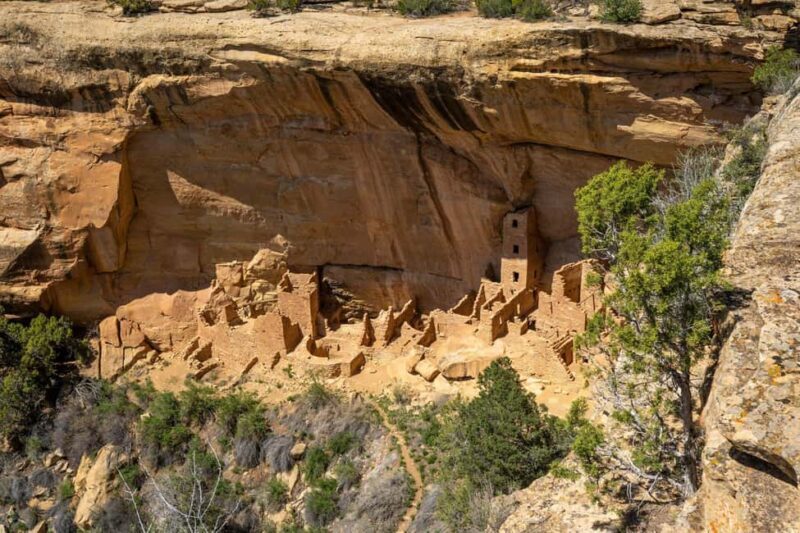 From Durango: Mesa Verde Express Tour & Cliff Palace Ticket - Is it Worth the Price?