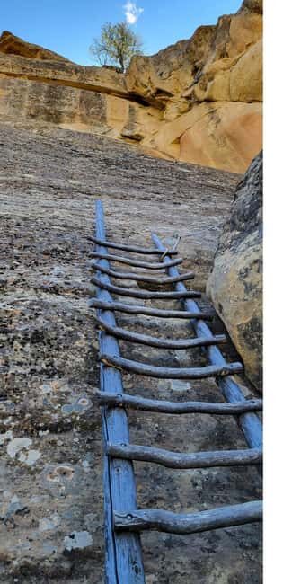 From Durango: Mesa Verde Express Tour & Cliff Palace Ticket - The Reviews: What Do Travelers Say?