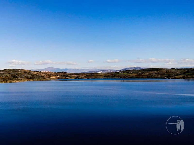 From Durres/Golem: Berat City & Belshi Lake Day Trip - Key Points