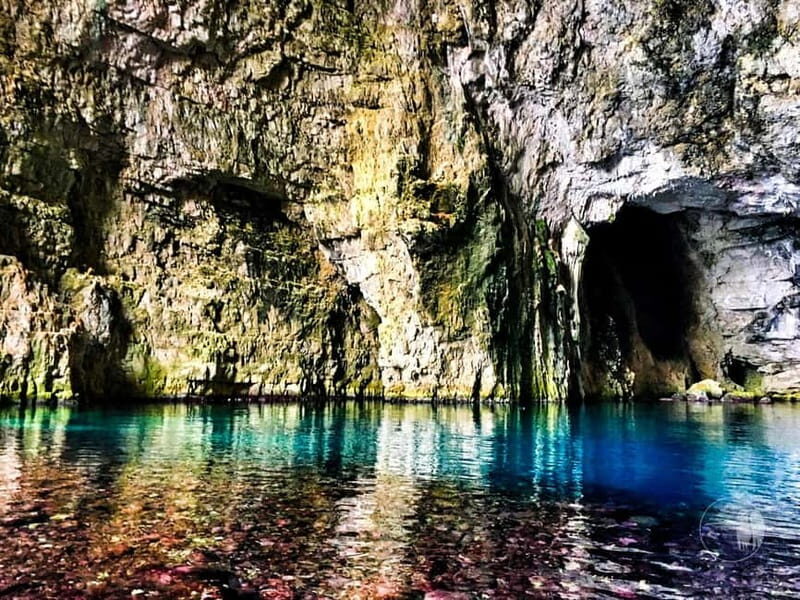 From Durres Golem: Vlora, Karaburun, Sazan Island Boat Tour - A Closer Look at the Experience