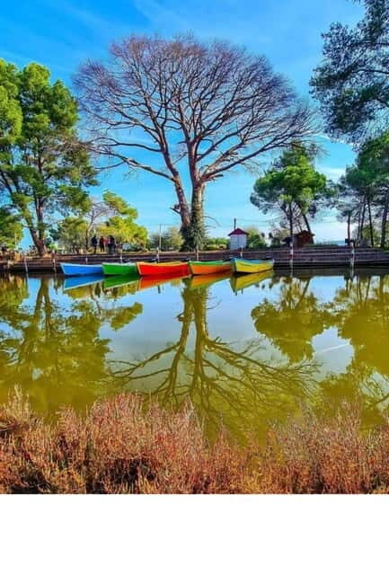 From Durres: Karavasta Lagoon & Apolonia Ancient City Tour - Final Thoughts