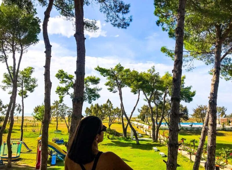 From Durrës: Karavasta Lagoon Birdwatching & Watch Tower - Key Points