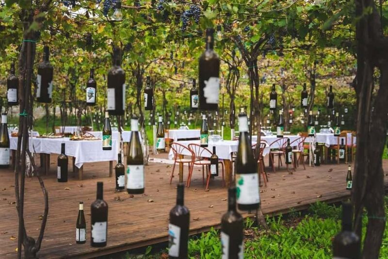 From Durrës: Wine Tasting at Alpeta Winery in Berat - The Highlight: Wine & Raki Tasting