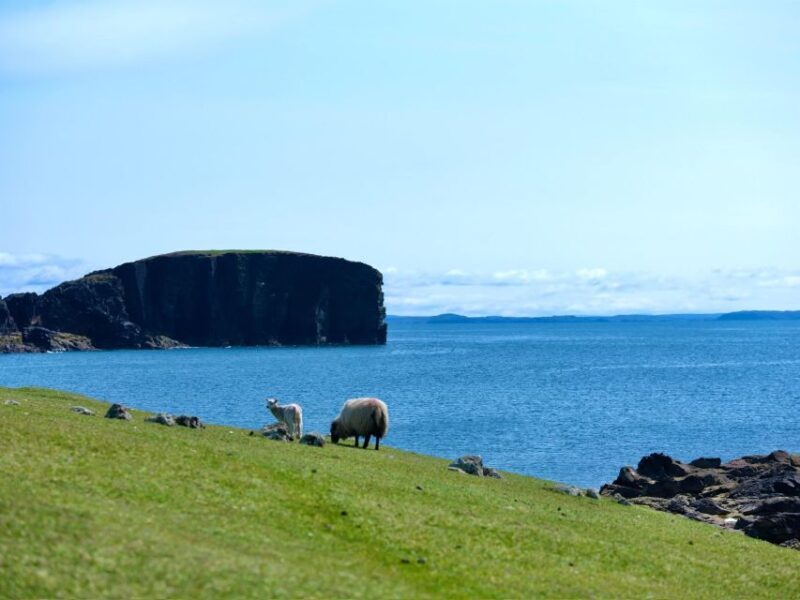 From Edinburgh: 6-Day Shetland & Nothernmost Explorer - FAQ