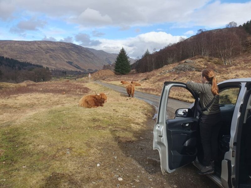From Edinburgh: a Private Tour to a Majestic Highland Glen - Price and Value