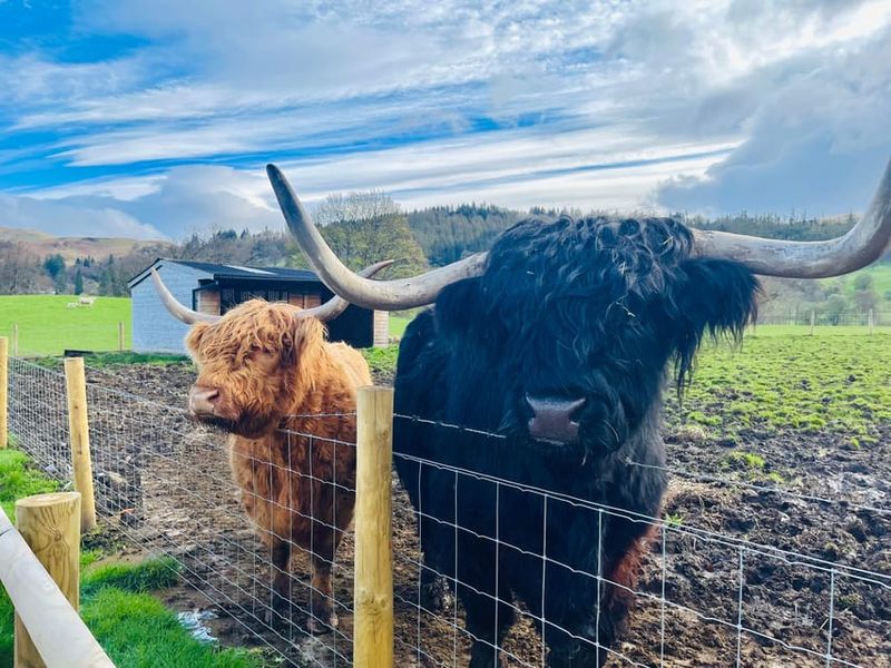 Edinburgh: Glenfinnan Viaduct, Glencoe & Fort William - Callander break: the small stop that makes the long day easier