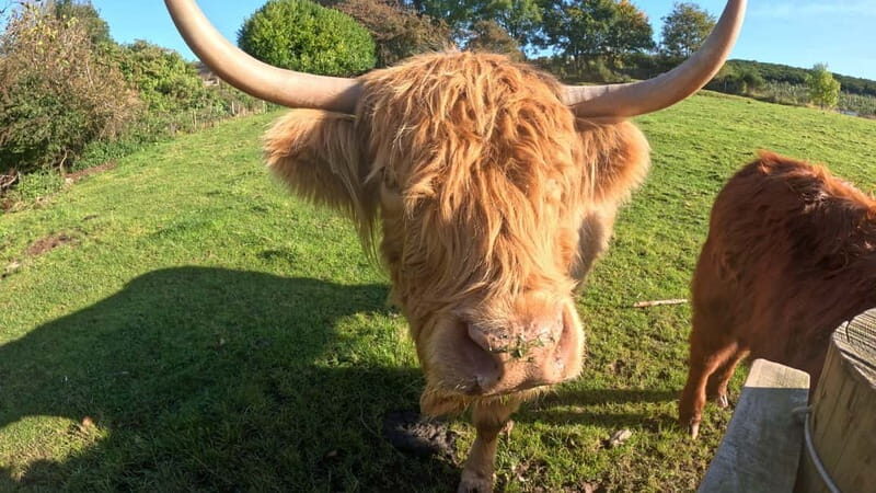 From Edinburgh: Highlands Land Rover Camping Adventure - An Overview of the Highland Land Rover Camping Tour