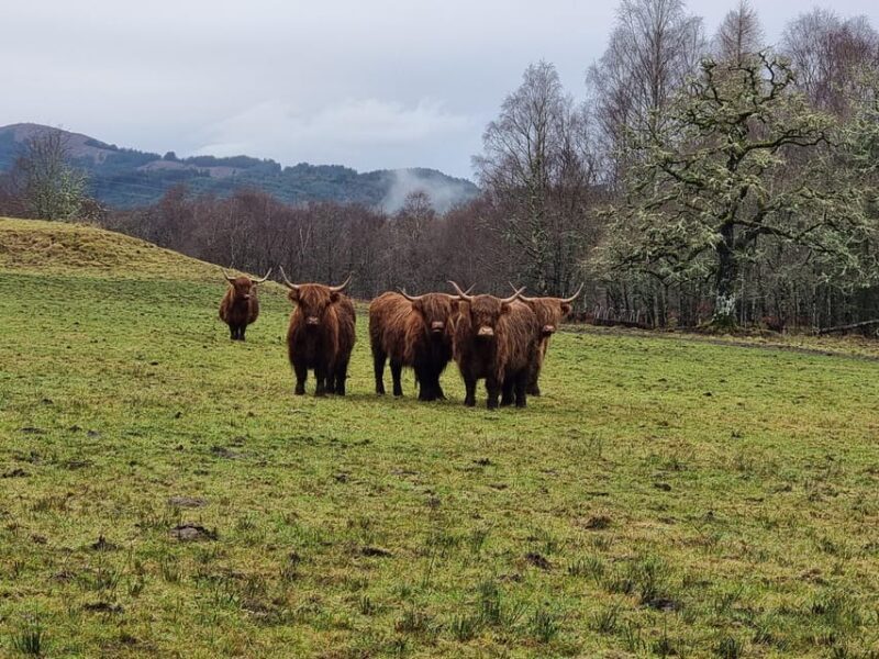 From Edinburgh: Loch Ness Private Day Tour with Transfers - What Makes This Tour Stand Out