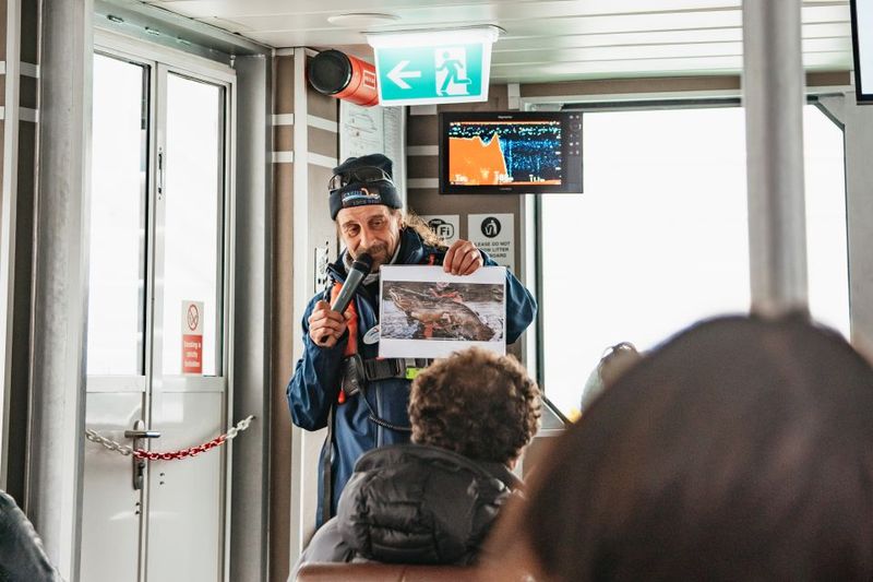 From Edinburgh: Loch Ness & Scottish Highlands Tour - Fort William and Ben Nevis: Mountain Views from the Road