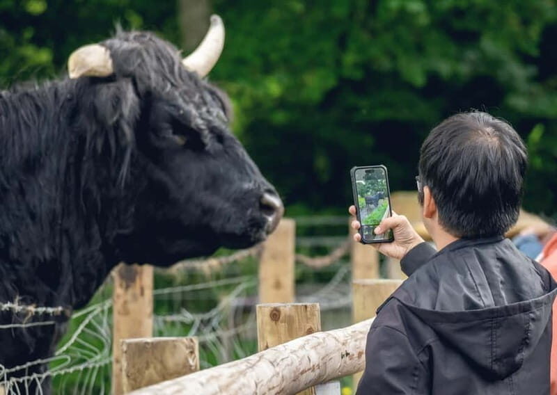 From Edinburgh: Stirling Castle, Kelpies and Loch Lomond - A Deep Dive into the Day Trip