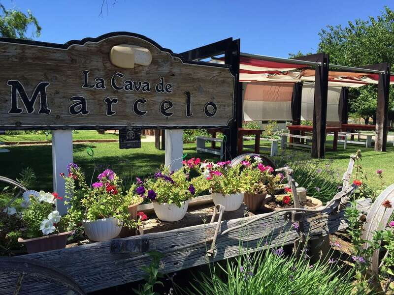 From Ensenada: Ojos Negros Valley Cheese & Wine Tasting Tour - An Honest Breakdown of the Experience