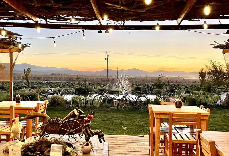 From Ensenada: Ojos Negros Valley Cheese & Wine Tasting Tour - FAQ