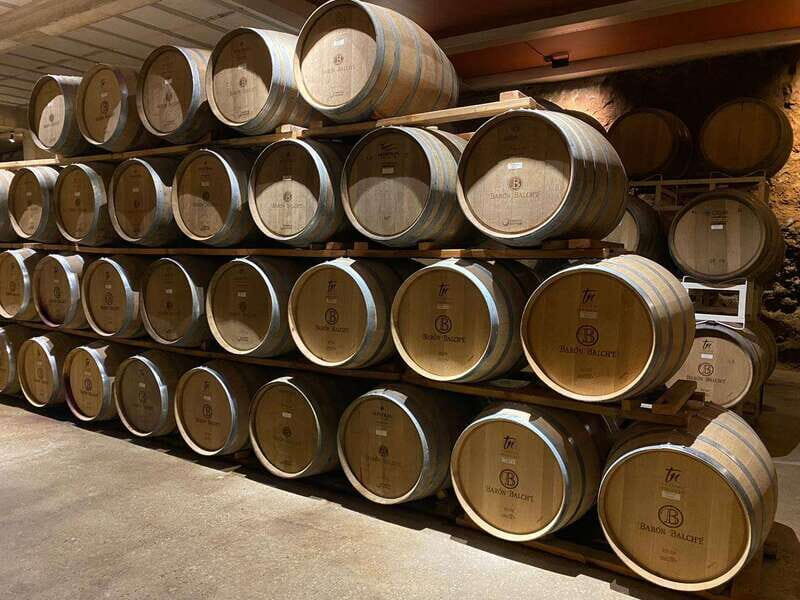 From Ensenada: Wine Tour at Guadalupe Valley Ensenada - Who Would Love This Tour?