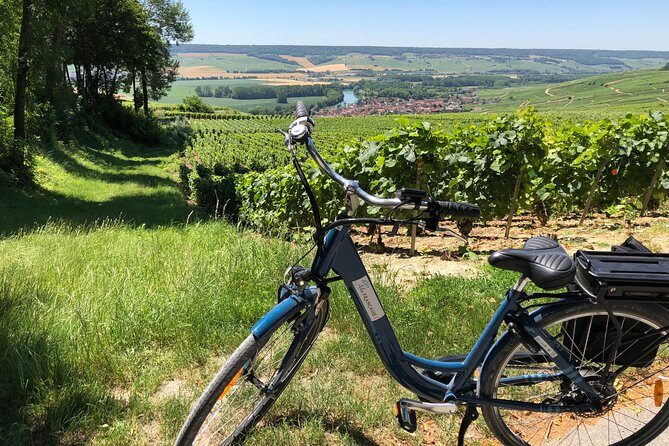 From Epernay Full day Electric bike Champagne and lunch - The Experience in Detail: What You Can Expect