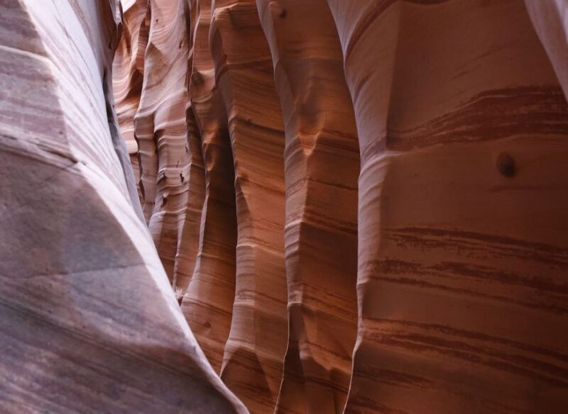 From Escalante: Zebra Slot Canyon Guided Tour and Hike - Final Thoughts
