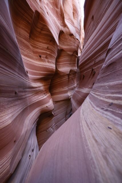 From Escalante: Zebra Slot Canyon Guided Tour and Hike - FAQ