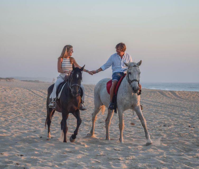 From Evora: Horseback riding on comporta beach - Who Is This Tour Best For?