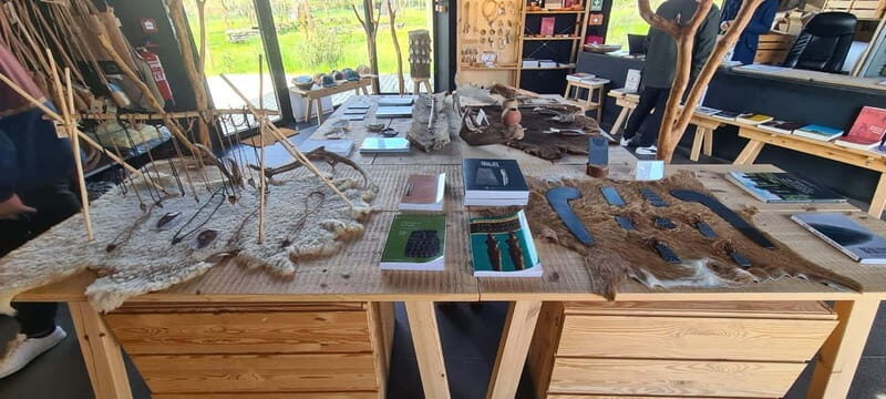 From Evora: Prehistoric Monuments and City Tour - Key Points