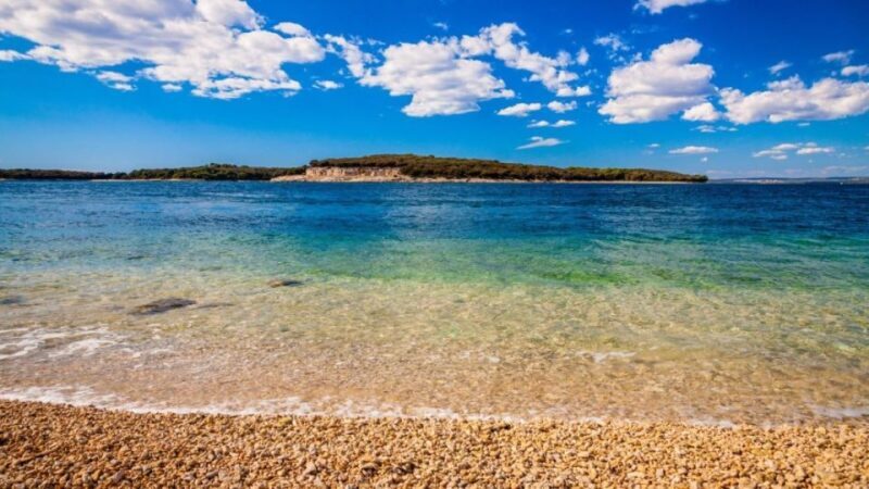 From Faana: Private boat tour of Brijuni Islands - Exploring the Brijuni Islands from Faana: What the Tour Looks Like