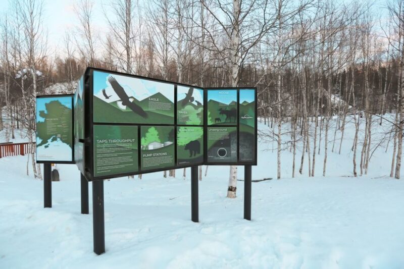 From Fairbanks: Arctic Circle Northern Lights Full-Day Trip - Exploring the Arctic Circle and Beyond