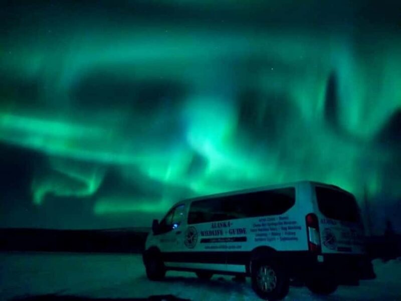 From Fairbanks: Northern Lights and Arctic Circle Tour - Key Points