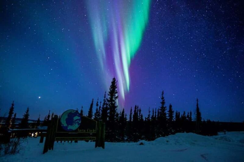 From Fairbanks: Northern Lights and Arctic Circle Tour - What the Reviews Say
