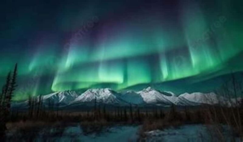 From Fairbanks: Northern Lights and Arctic Circle Tour - The Bottom Line