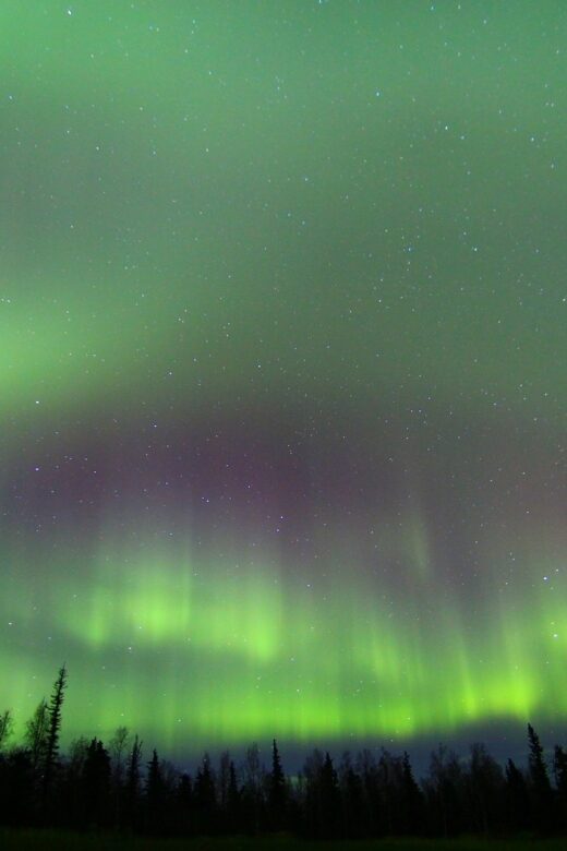 From Fairbanks: Northern Lights & Murphy Dome Tour - The Pros and Cons of This Tour
