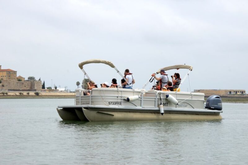 From Faro: 2-Hour Guided Bird Watching Boat Trip - The Sum Up