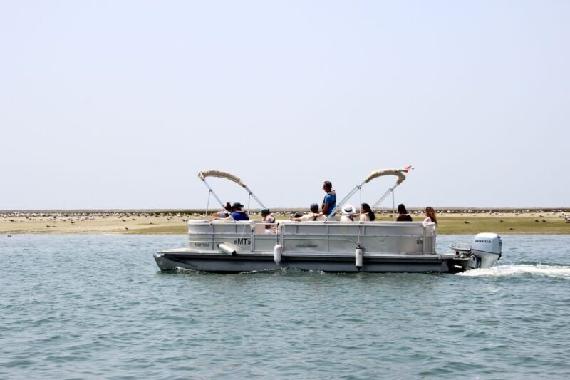From Faro: 2-Hour Guided Bird Watching Boat Trip - FAQs