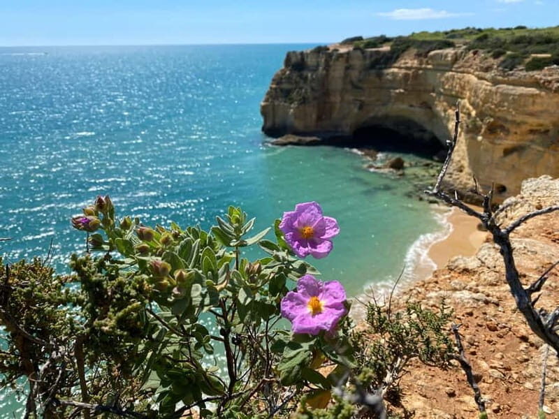 From Faro: Benagil Cave and Seven Hanging Valleys Trail Tour - Key Points