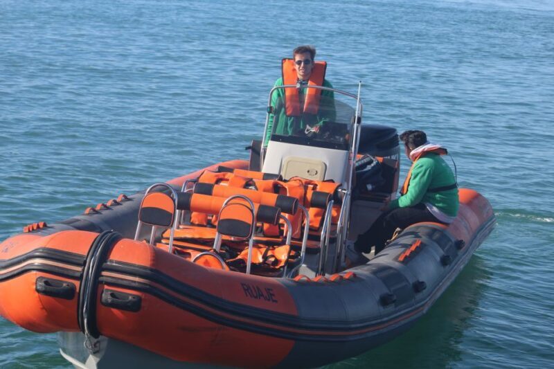 From Faro: Dolphin Watching & 2 Islands Tour - Exploring the Faro: Dolphin Watching & 2 Islands Tour