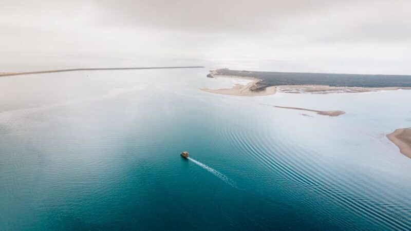 From Faro: Ria Formosa Eco Tour guided by Marine Biologist - How the Tour Unfolds: A Step-by-Step Look