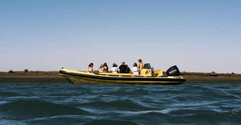 From Faro: Ria Formosa Eco Tour guided by Marine Biologist - Considering the Downsides