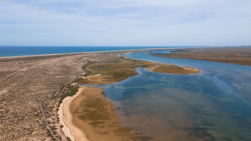 From Faro: Ria Formosa Eco Tour guided by Marine Biologist - FAQ