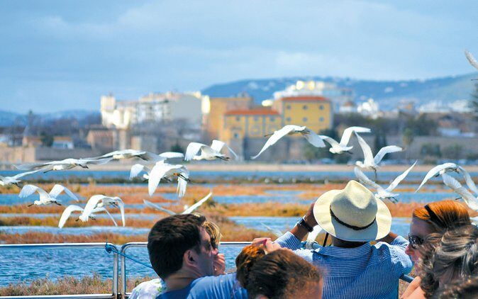 From Faro: Ria Formosa Eco Tour guided by Marine Biologist - Who Should Consider This Tour?