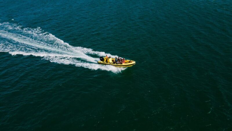 From Faro: Ria Formosa Hop-On Hop-Off 3 Islands Cruise - Key Points