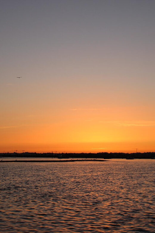 From Faro: Ria Formosa Sunset Boat Trip - The Reviews Tell a Story