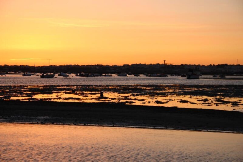 From Faro: Ria Formosa Sunset Boat Trip - Who Is This Tour Best For?