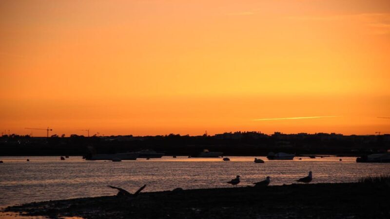 From Faro: Ria Formosa Sunset Boat Trip - FAQs