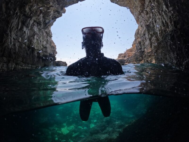 From Fazana: Dolphin watching and snorkeling in Blue Cave - The Sum Up