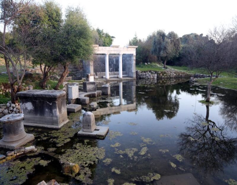 From Fethiye: Dalyan Day Trip with Mud Bath and Turtle Beach - Final Thoughts