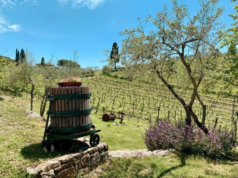 From Florence: Chianti Hills Wineries Tour with Tasting - Final Reflections: Is This Tour for You?