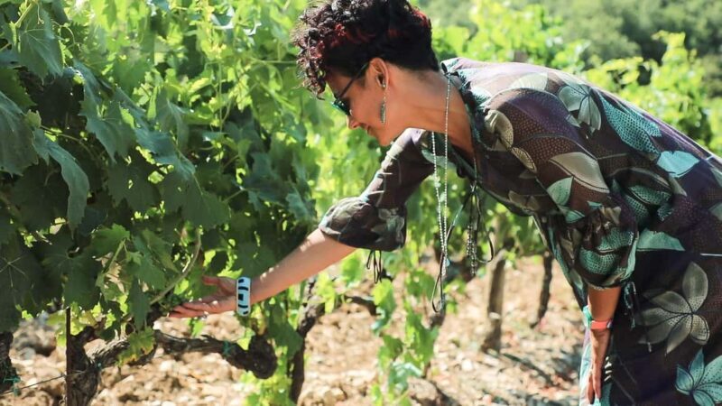 From Florence: Chianti Tour with Two Wine and Food Tastings - First Winery Visit: Authentic Organic Chianti Classico