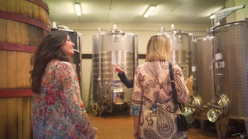 From Florence: Chianti Tour with Two Wine and Food Tastings - The Logistics: Timing, Transport, and Group Size