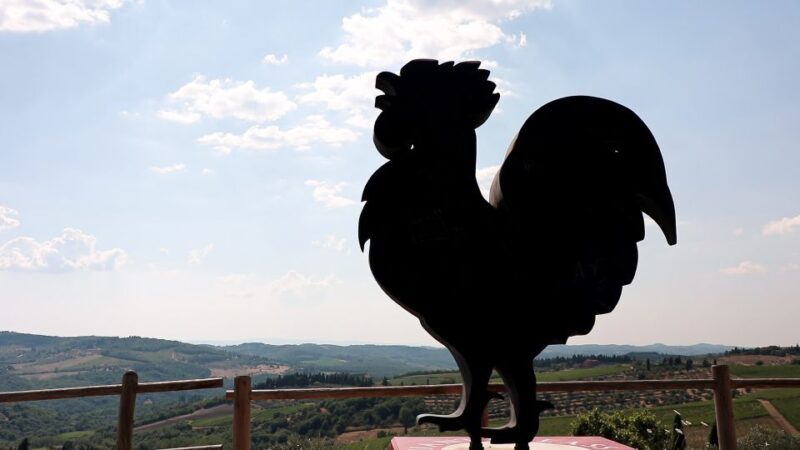 From Florence: Chianti Tour with Two Wine and Food Tastings - What the Reviews Say