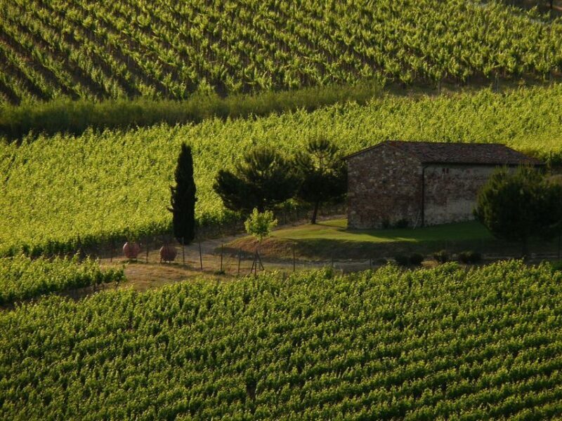 From Florence: Chianti Wine Tastings at Sunset Day Trip - Transportation and Group Size