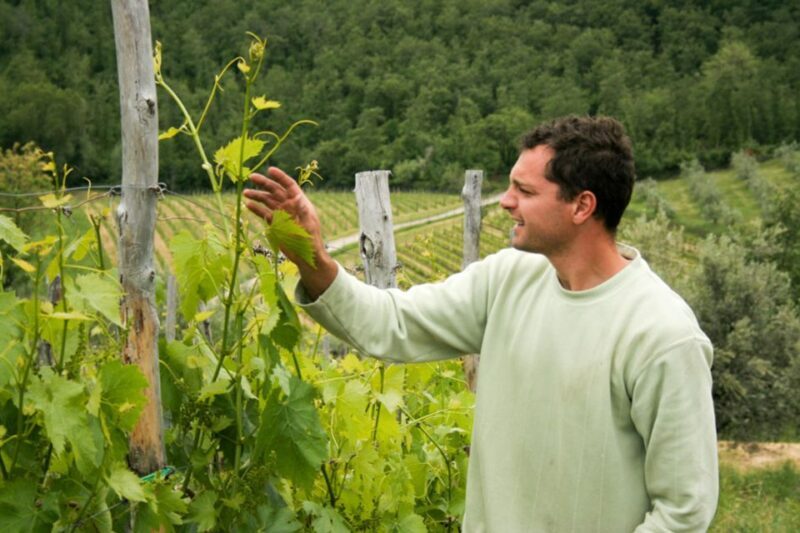 From Florence: Chianti Wine Tastings at Sunset Day Trip - FAQs